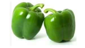 Capsicum