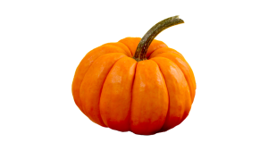 Desi Pumpkin