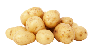 Potato