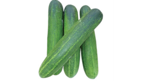 Green Cucumber