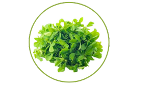 Fenugreek (Approx 250g - 350g)