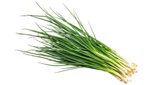 Spring Onions