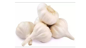 Hybrid Garlic