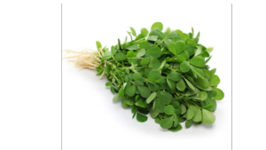 Fenugreek Bunch