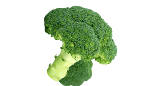 Broccoli